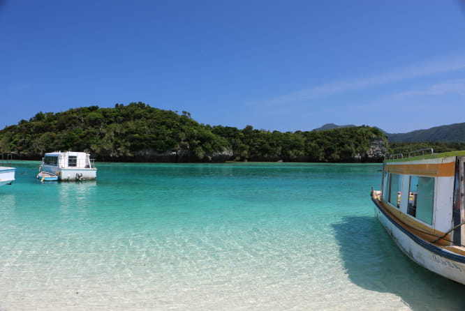 貸切体験ダイビングの画像