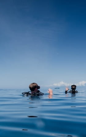 貸切ファンダイビングの画像